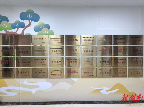 守護生命，晝夜不停——湖南省直中醫醫院動物致傷門診24小時接診正式開診