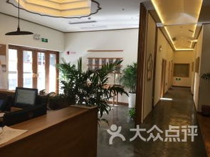 上海金橋醫院 融合現代醫療與中醫精髓，構筑全方位健康服務體系